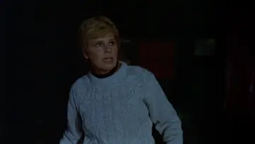 Zasłona do filmu "Piątek  trzynastego 1" #917693
