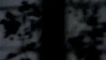 Zasłona do filmu "Duch roju" #1400574