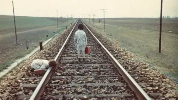 Zasłona do filmu "Duch roju" #204429