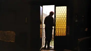 Zasłona do filmu "Duch roju" #985701
