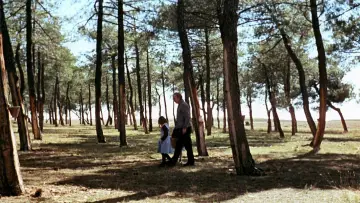 Zasłona do filmu "Duch roju" #985702
