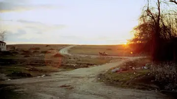 Zasłona do filmu "Duch roju" #985704