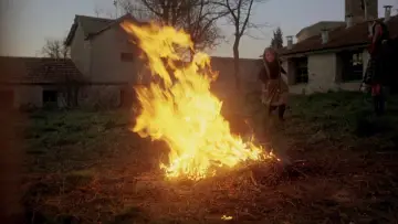 Zasłona do filmu "Duch roju" #985707
