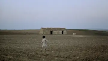 Zasłona do filmu "Duch roju" #985709