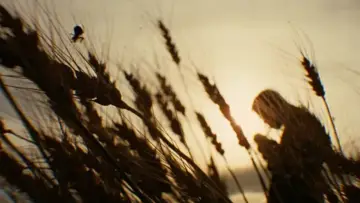 Zasłona do filmu "Zabójstwo Jesse