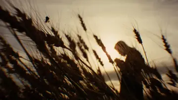 Zasłona do filmu "Zabójstwo Jesse