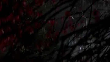 Zasłona do filmu "Inwazja pożeraczy ciał" #894313