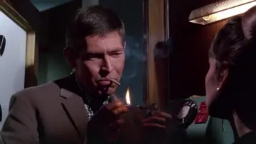 Zasłona do filmu "Szarada" #201918