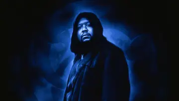 Zasłona do filmu "Ghost Dog: Droga samuraja" #224595