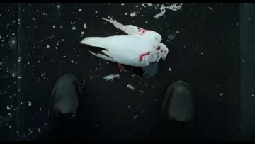 Zasłona do filmu "Ghost Dog: Droga samuraja" #883857