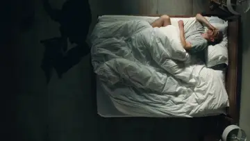 Zasłona do filmu "Przekładaniec" #868661