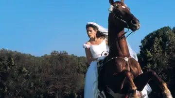 Zasłona do filmu "Uciekająca Panna Młoda" #304341