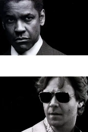 Plakat do filmu "Amerykański gangster" #206515