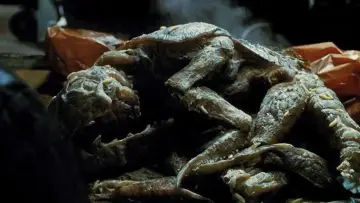 Zasłona do filmu "Mutant" #791297