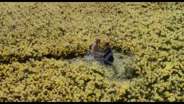 Zasłona do filmu "Duża ryba" #963821