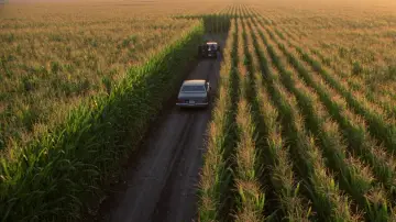 Zasłona do filmu "Kasyno" #913651