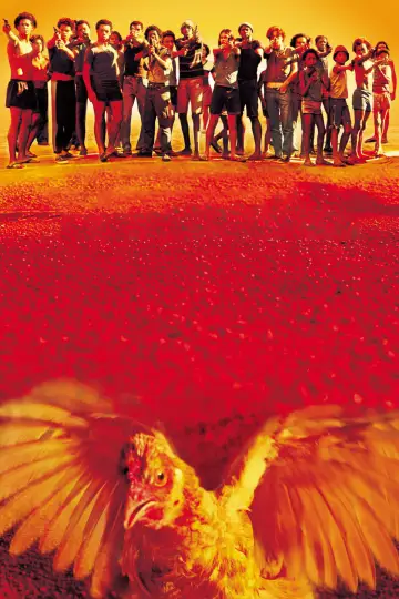 Plakat do filmu "Miasto Boga" #173950