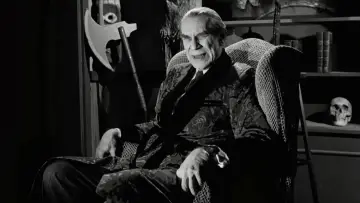 Zasłona do filmu "Ed Wood" #888299