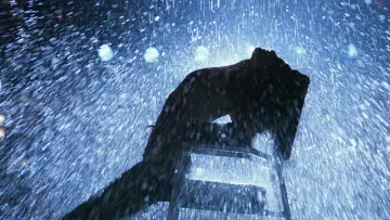 Zasłona do filmu "Flashdance" #859399