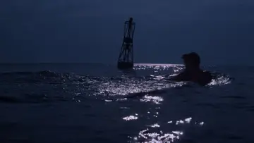 Zasłona do filmu "Szczęki" #768204