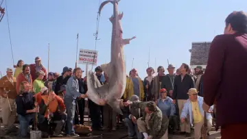 Zasłona do filmu "Szczęki" #768219
