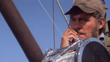 Zasłona do filmu "Szczęki" #768230