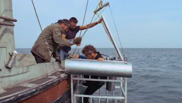 Zasłona do filmu "Szczęki" #768242