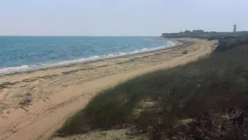 Zasłona do filmu "Szczęki" #768246
