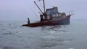 Zasłona do filmu "Szczęki" #768247
