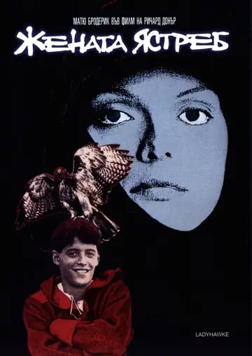 Plakat do filmu "Zaklęta w sokoła" #377779