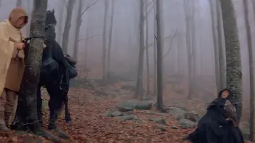 Zasłona do filmu "Zaklęta w sokoła" #860087
