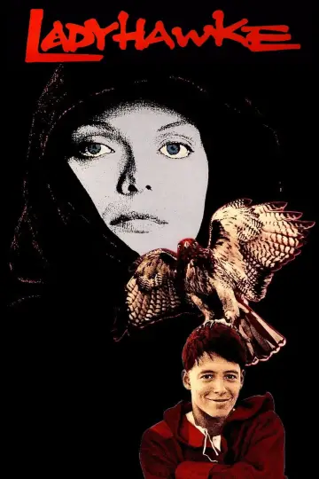 Plakat do filmu "Zaklęta w sokoła" #860100