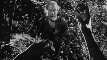 Zasłona do filmu "Rashomon" #701968