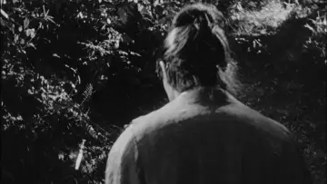 Zasłona do filmu "Rashomon" #701993