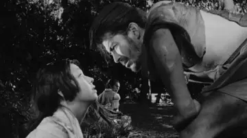 Zasłona do filmu "Rashomon" #701996