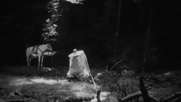 Zasłona do filmu "Rashomon" #702003