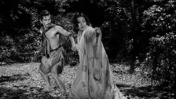 Zasłona do filmu "Rashomon" #964351