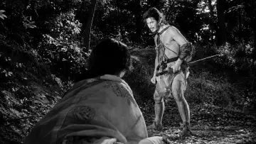 Zasłona do filmu "Rashomon" #964352