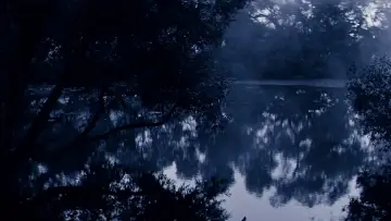 Zasłona do filmu "Solaris" #185196