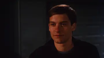 Zasłona do filmu "Spider-Man" #1177765