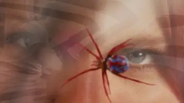 Zasłona do filmu "Spider-Man" #1177768