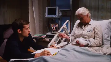 Zasłona do filmu "Spider-Man" #1177824