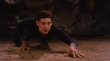 Zasłona do filmu "Spider-Man" #1177877
