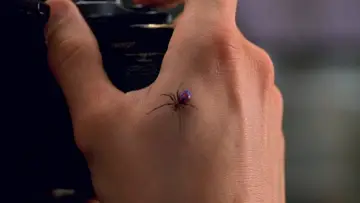 Zasłona do filmu "Spider-Man" #172103