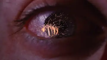 Zasłona do filmu "Spider-Man" #550132