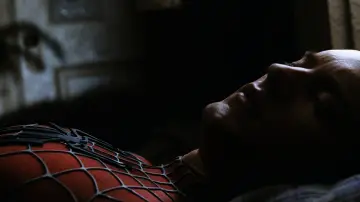 Zasłona do filmu "Spider-Man 3" #1196707