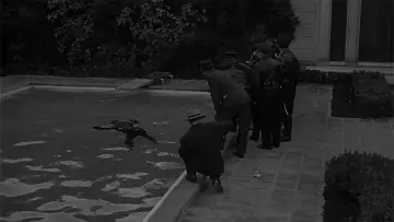 Zasłona do filmu "Bulwar Zachodzącego Słońca" #669951