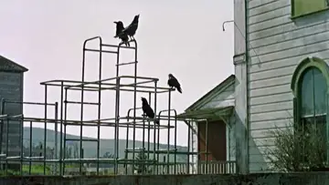 Zasłona do filmu "Ptaki" #209998