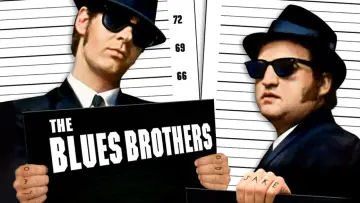 Zasłona do filmu "Blues Brothers" #112376