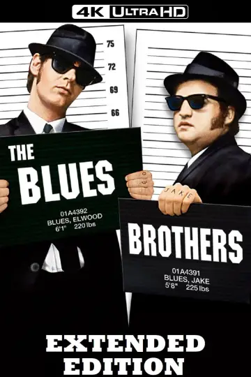 Plakat do filmu "Blues Brothers" #1646436